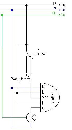Shelly-Two-Switch-Wiring