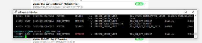 at_1243_firstdeviationOthersideround_DeviceOnlineInOH_but_OfflineInConsole