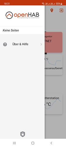 Screenshot_20221020_183115_openHAB Beta