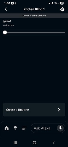 Screenshot_20251204_113937_Amazon Alexa