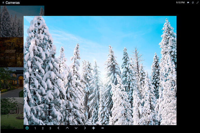 camera-clickable-ptz.widget