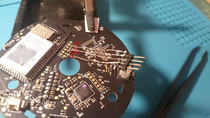 DSC_20181013_002608_279_small