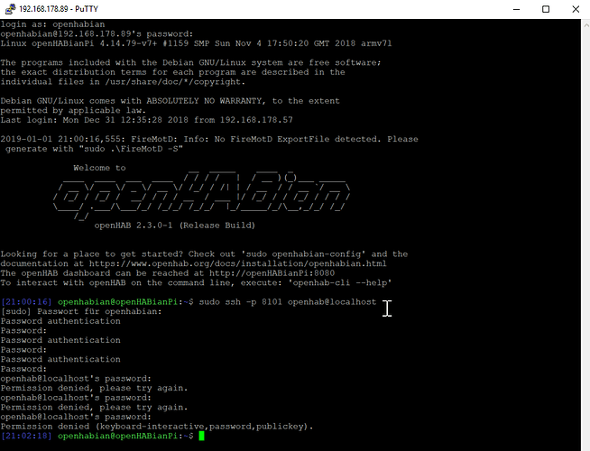 putty_2019-01-01_21-02-45