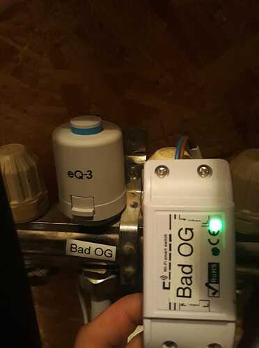 48393331_2127150474252734_5680974309233786880_n