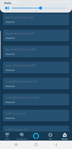Screenshot_20191110-145224_Amazon%20Alexa